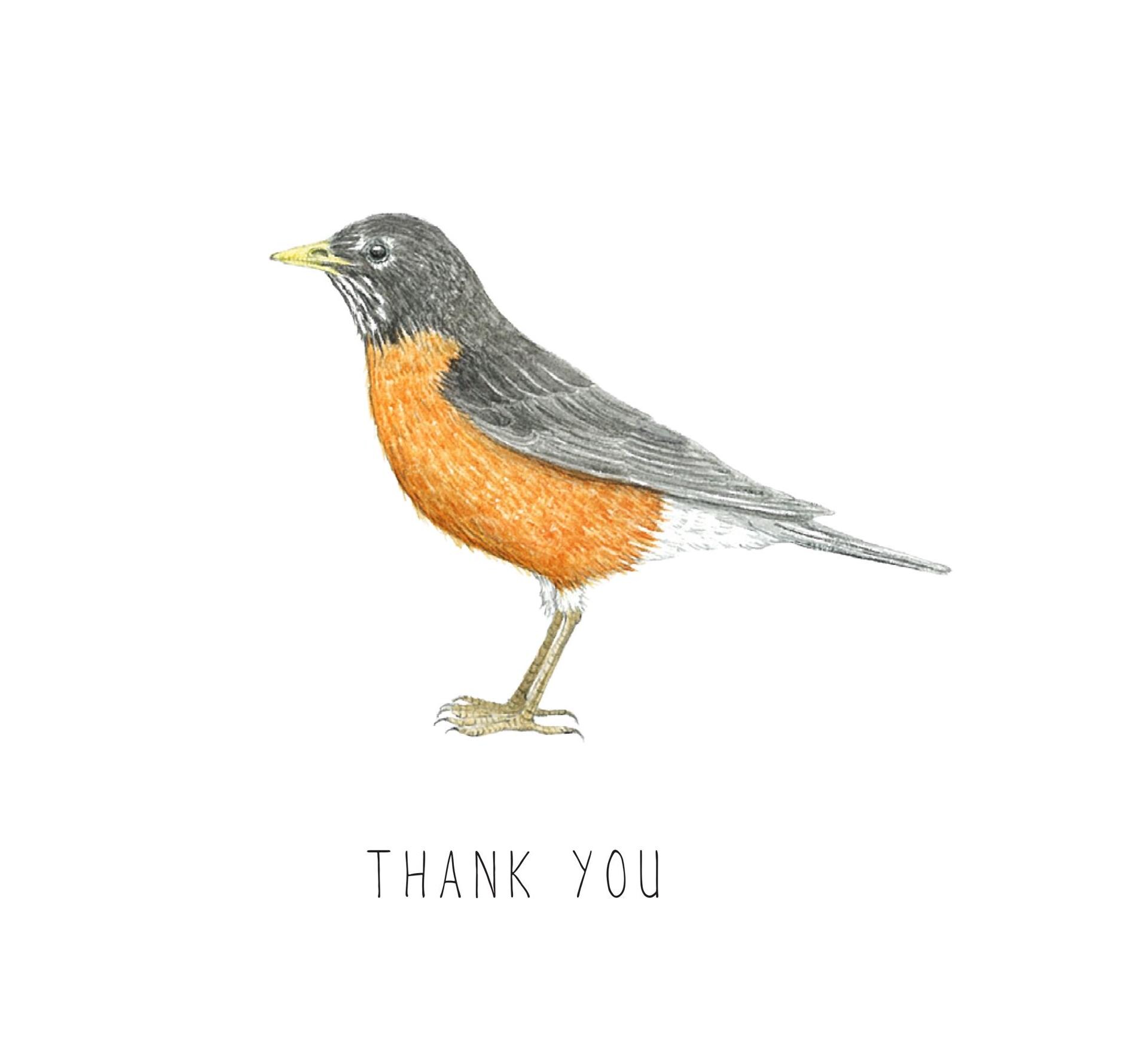 Thank You Robin Greeting Card | Hand Painted Watercolor Designs ...