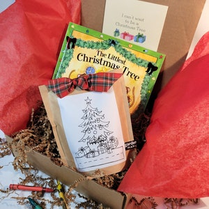 May include: A brown cardboard box filled with red tissue paper, brown shredded paper, and a book titled "The Littlest Christmas Tree". There is also a brown paper bag with a black and white coloring page of a Christmas tree with presents underneath. The bag has the text "garden in.a.box" on the bottom right corner. There are also four crayons on the shredded paper.