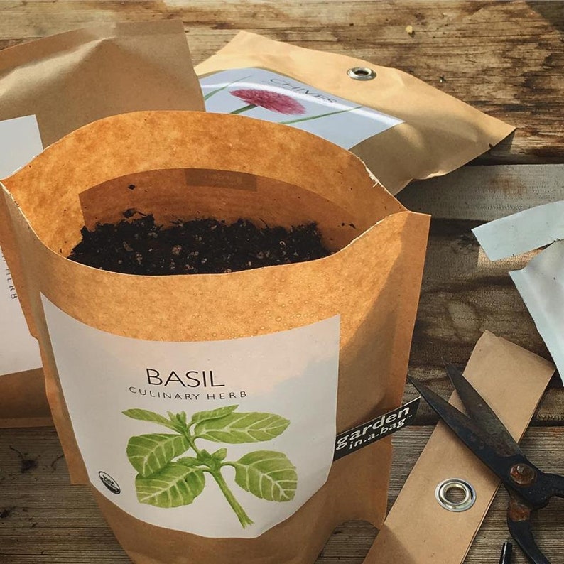 Basil Garden in a Bag - Thumbnail 5