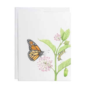 de voeux monarque | Illustration aquarelle du cycle de vie du papillon monarque - motif peint à la main - carte vierge - amateur de pollinisateurs
