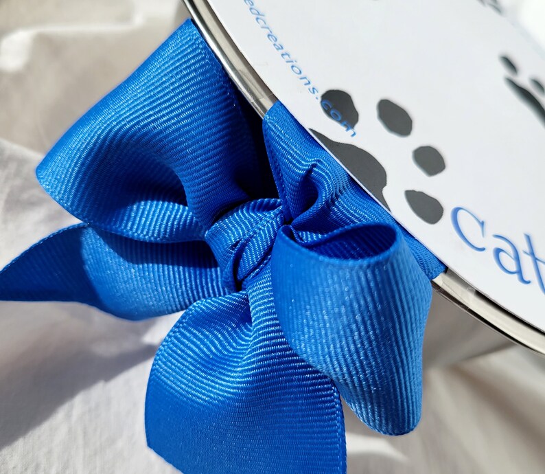 Cat Grass Pet Bowl Cat Gift Kitten Cat Lover Wheat Etsy