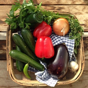 May include: A wicker basket filled with fresh produce, including red bell peppers, green peppers, zucchini, eggplant, onions, and garlic. The basket is lined with a blue and white checkered cloth.