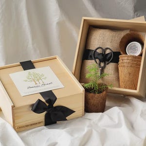 May include: A wooden gift box with a black ribbon and a card labeled Bonsai Forest. Inside the open box is a burlap-wrapped item, black metal shears, a small green plant in a fiber pot, and a stack of fiber pots with a silver lid.