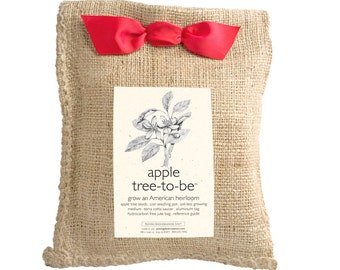 Apple Tree to Be | Grow your own apple tree –  Unique Fall gift - Apple tree grow kit - Garden lover's gift - Autumn Harvest