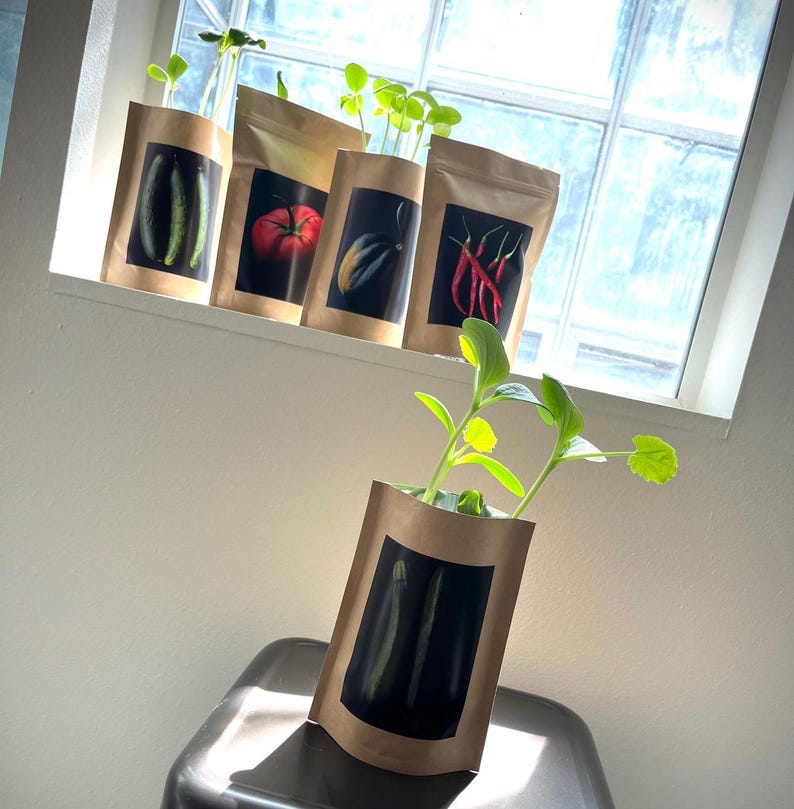 May include: Five brown paper bags with different vegetables printed on them. The bags are filled with soil and have small plants growing out of them. The bags are sitting on a windowsill.