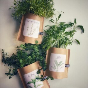 May include: Three brown paper bags with green herbs growing inside. The bags have labels with the names of the herbs: English Thyme, Sage, and Oregano. Each label also has a small black and white logo that says "garden in a bag".
