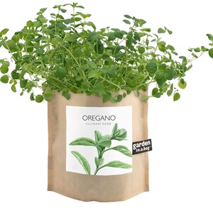 May include: A brown paper bag with a white label that says "OREGANO CULINARY HERB" and a drawing of oregano. The bag has a brown label that says "garden in a bag" and contains a green oregano plant.