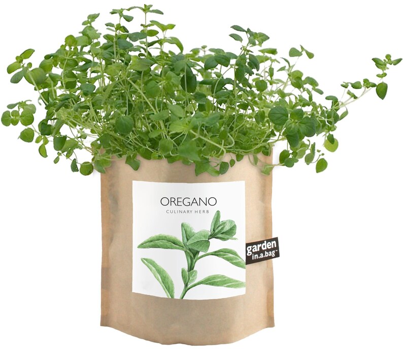 May include: A brown paper bag with a white label that says "OREGANO CULINARY HERB" and a drawing of oregano. The bag has a brown label that says "garden in a bag" and contains a green oregano plant.