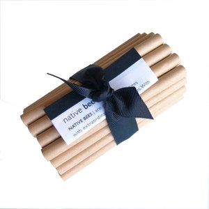 Bee Bottle Replacement Tubes | 37 native bee nesting tubes for next season&#39;s brood - Mason and Leafcutter bees - Native Bee Bottle tubes