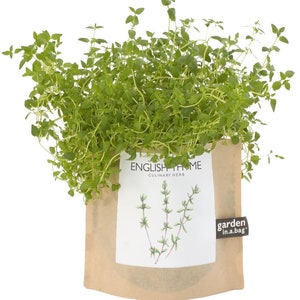 Thyme Garden in a Bag Self Contained Grow Kit Eco Friendly Herb Garden Kit Employee Gift Mothers Day Kitchen Herb Indoor Plant image 2