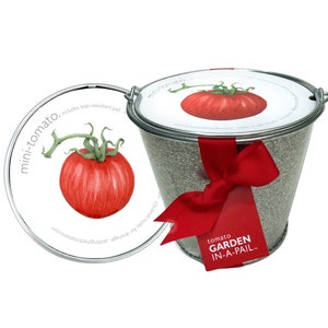 May include: A small, gray metal pail with a red ribbon tied around it. The pail has a white label that says "tomato GARDEN IN-A-PAIL.." and a white lid with a drawing of a red tomato on it. The lid also has the text "mini-tomato. includes leak-resistant pail".