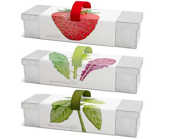 indoor garden kits micro image window box garden kits indoor strawberries etsy indoor garden kits micro image window box garden kits indoor strawberries etsy