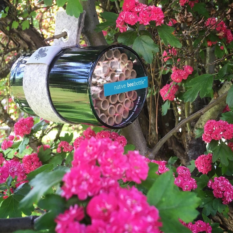 Native Bee Bottle Pollinator House - Thumbnail 2
