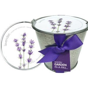 Lavender Pail Self Contained Grow Kit Eco Friendly Patio Garden Fragrant Flowers Kitchen Garden Indoor Garden Mother's Day image 1