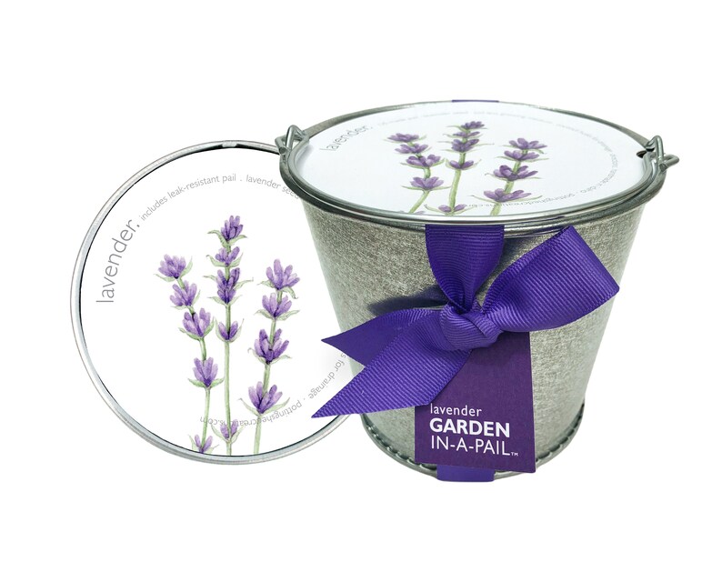 Lavender Pail Self Contained Grow Kit Eco Friendly Patio Garden Fragrant Flowers Kitchen Garden Indoor Garden Mother's Day image 1