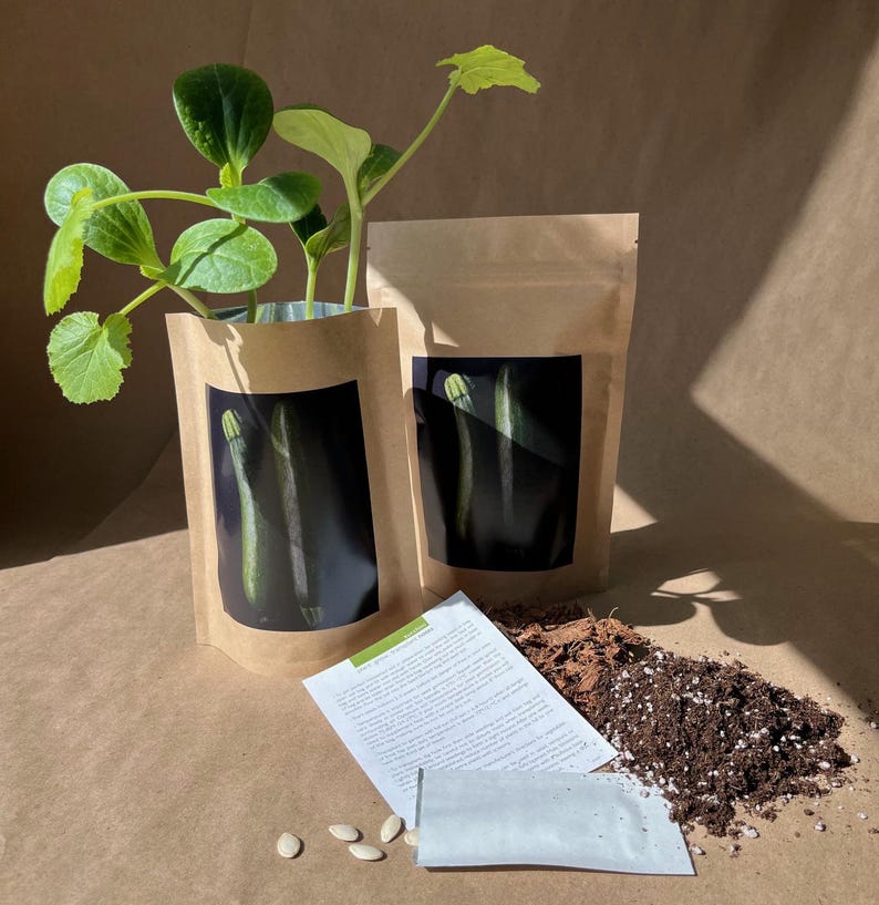 May include: Two brown paper bags with a photo of zucchini on the front. The bags contain a zucchini plant, soil, and seeds. The plant is in a small pot and has green leaves. The seeds are white and round. The soil is brown and loose.