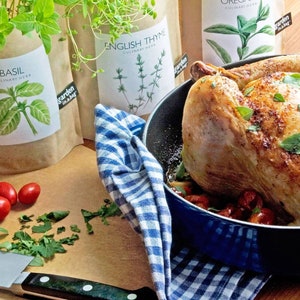 Basil Garden in a Bag | Self Contained Plant – Eco Friendly - Basil ...