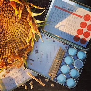 May include: A metal seed saving kit featuring a gardener's seed saving chart on the lid, eight small round metal tins, a bundle of wooden plant markers, and paper seed packets, displayed next to a large dried sunflower head.