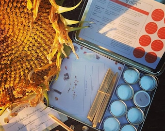 May include: A metal seed saving kit featuring a gardener's seed saving chart on the lid, eight small round metal tins, a bundle of wooden plant markers, and paper seed packets, displayed next to a large dried sunflower head.