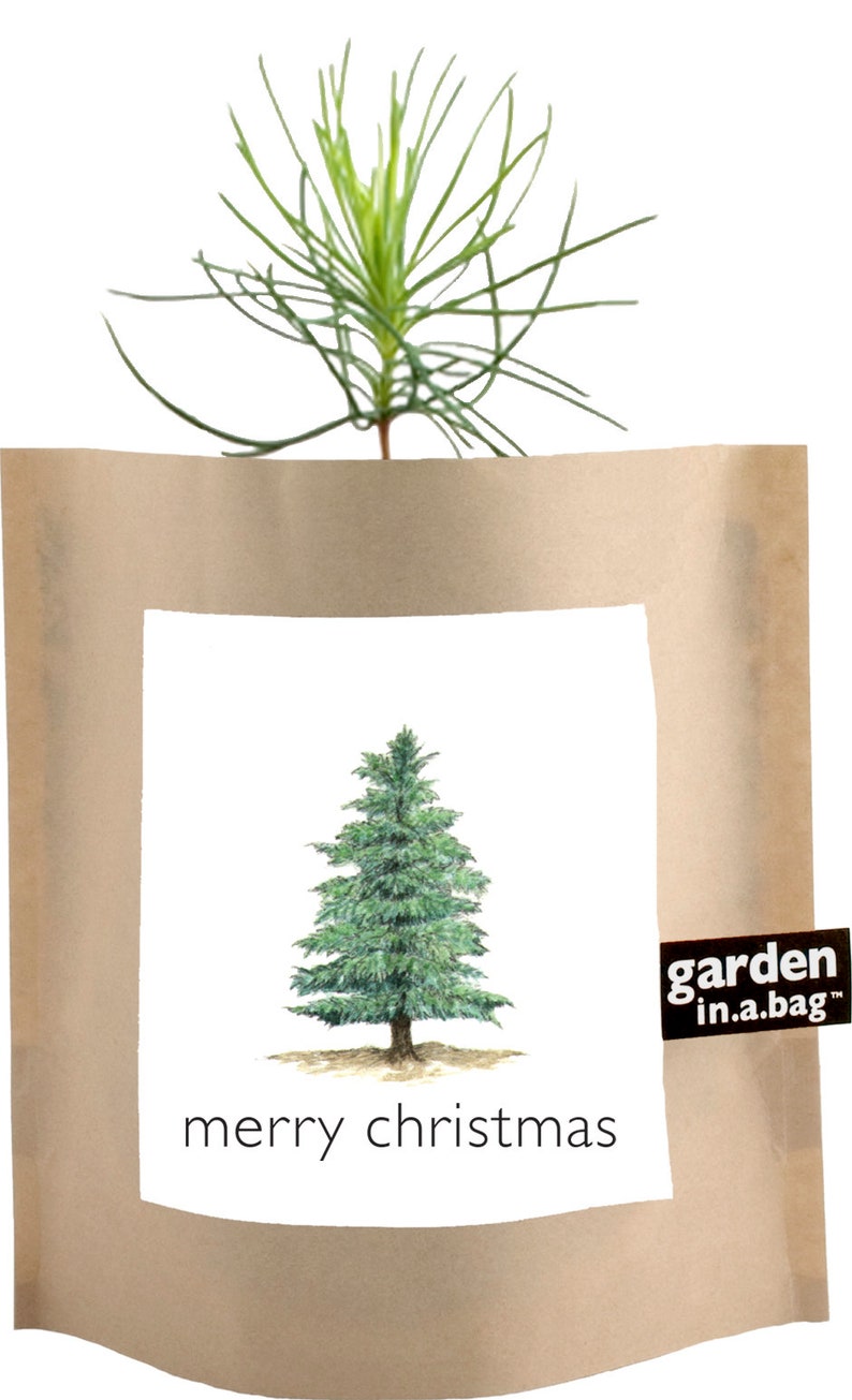 Christmas Tree GardeninaBag Pine Tree Grow Kit Eco Etsy