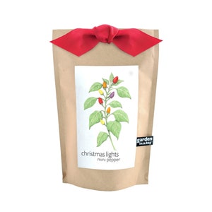 May include: A brown paper bag with a red ribbon tied around the top. The bag has a white label with a drawing of a pepper plant with colorful peppers. The label says "christmas lights mini pepper" and "garden in a bag".