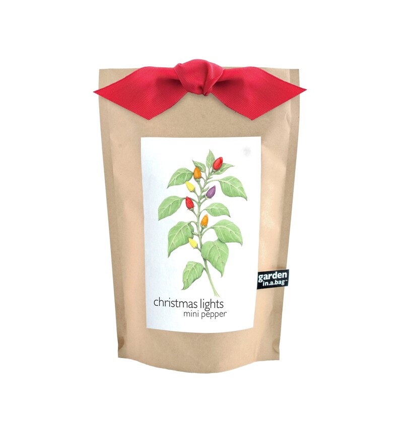 Christmas Lights Pepper Garden-in-a-Bag - Thumbnail 2