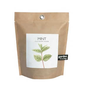 Mint Garden-in-a-Bag Self Contained Grow Kit Eco Friendly Herb Garden Kit Corporate Gift Mothers Day Kitchen Herb Indoor Plant image 1