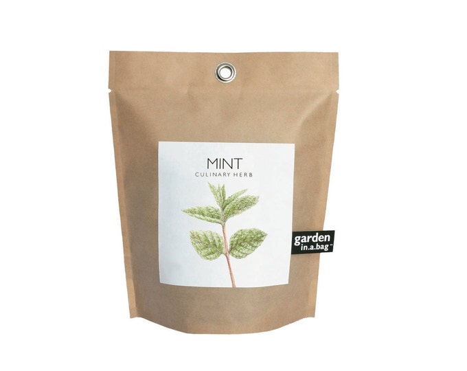 Mint Garden-in-a-Bag – Self Contained Grow Kit – Eco Friendly – Herb Garden Kit - Corporate Gift – Mothers Day – Kitchen Herb - Indoor Plant