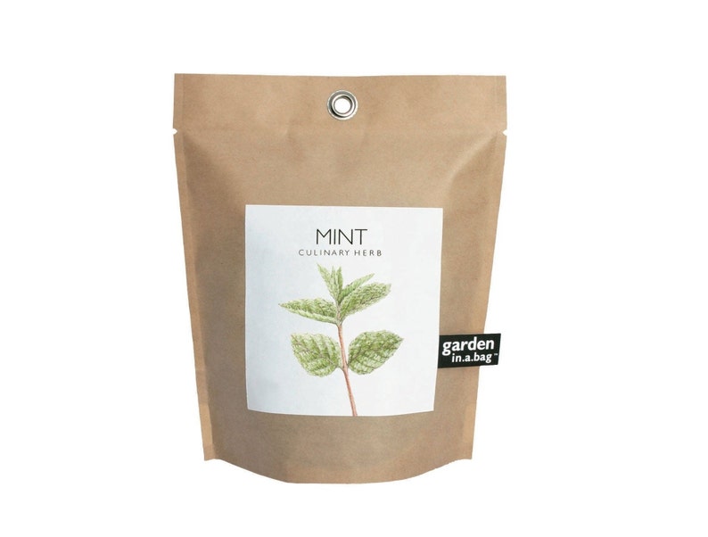 Mint Garden-in-a-Bag Self Contained Grow Kit Eco Friendly Herb Garden Kit Corporate Gift Mothers Day Kitchen Herb Indoor Plant image 1