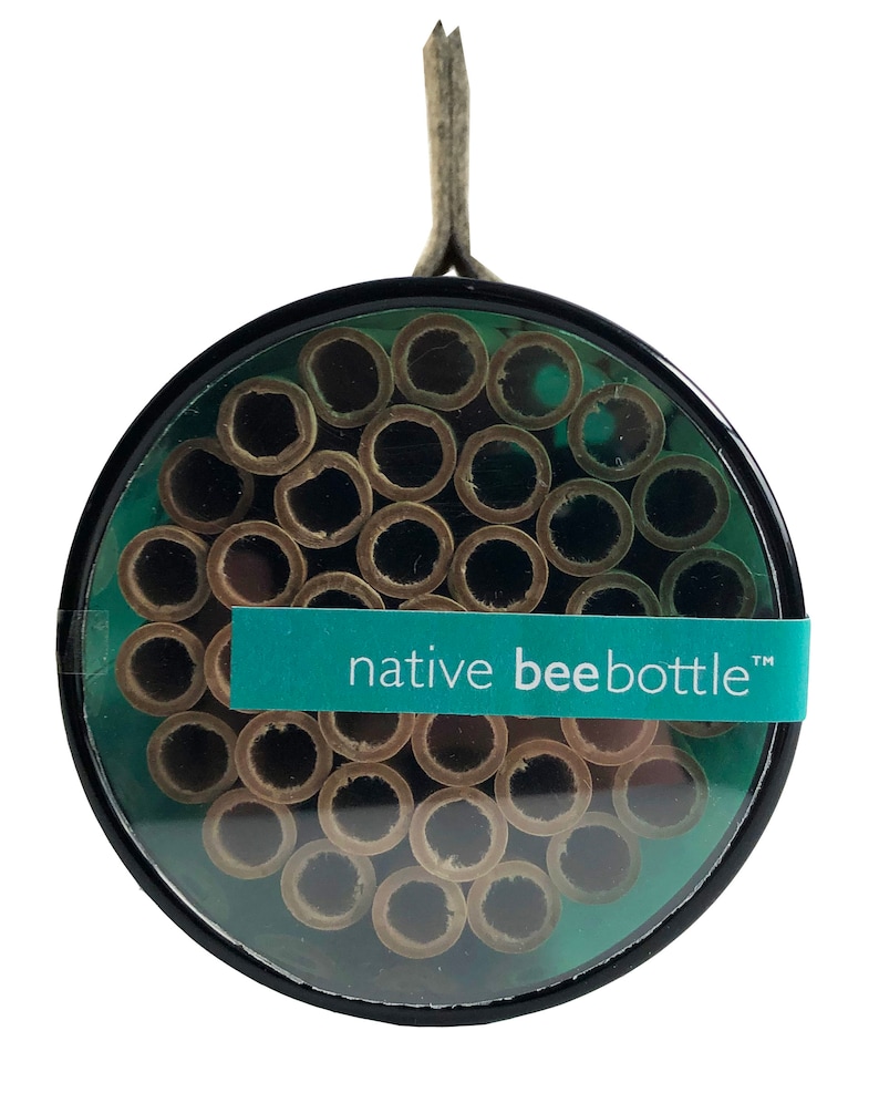 Native Bee Bottle Pollinator House