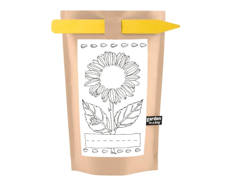 Kids Sunflower Garden-in-a-Bag - Thumbnail 2