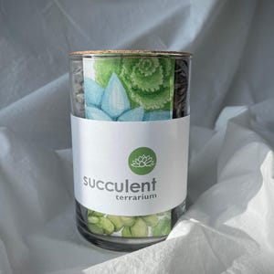 Succulent Terrarium | Terrarium starter kit | perfect gift for office or home | friend gift | wedding favor image 1