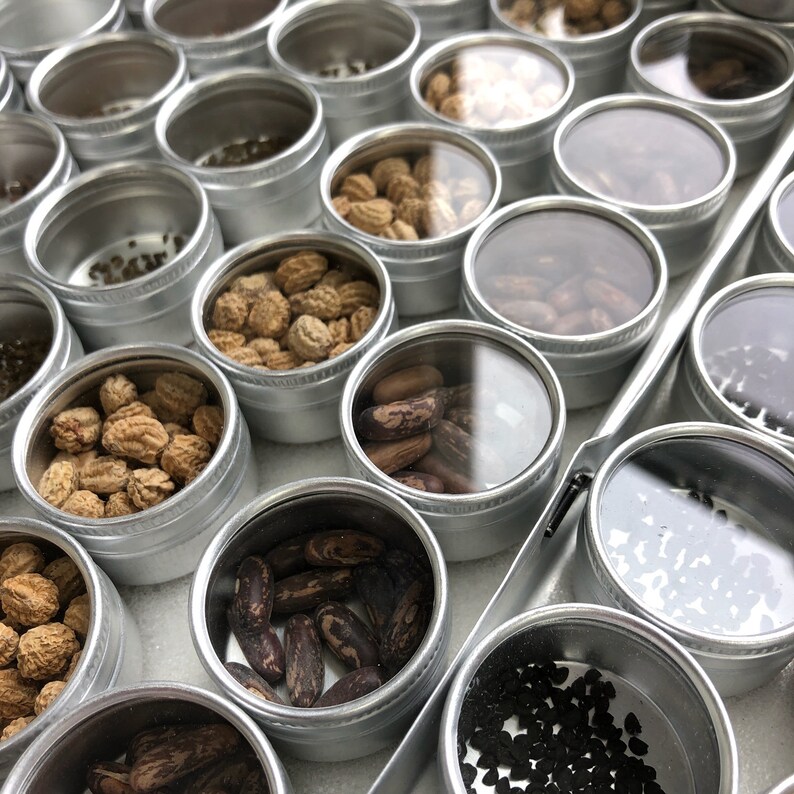 May include: A close-up of a variety of small round containers filled with different types of seeds. The containers are made of metal and have a silver finish. The seeds are arranged in a grid pattern.