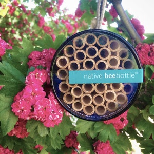 Native Bee Bottle | Pollinator House - Leafcutter and Mason Bees - Bee House for Garden - Gardener Gift - Christmas Gift