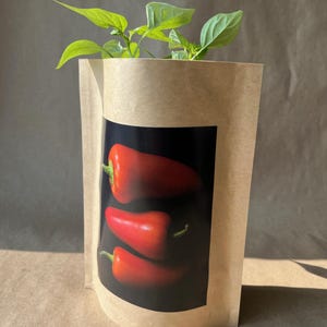May include: A brown paper bag with a picture of three red peppers on it. A small green pepper plant is growing out of the top of the bag.