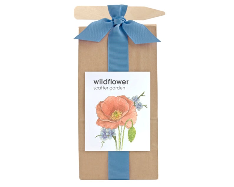 Scatter Garden Wildflower - Thumbnail 2