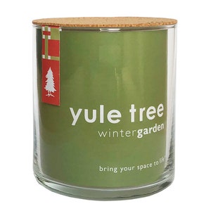 Christmas Tree Garden || Christmas Yule Tree Grow kit - DIY indoor garden - Garden Lovers gift - grow a memory - First Christmas