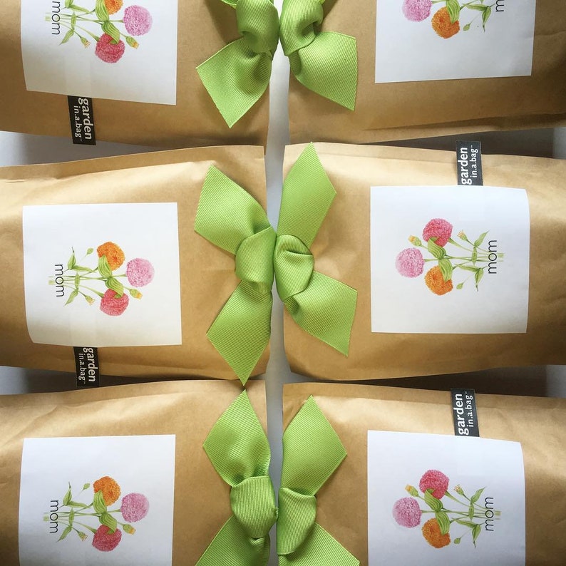 Mom Garden-in-a-Bag – Dwarf mixed zinnia garden - Thumbnail 4