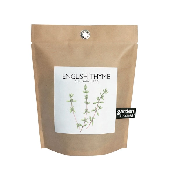 Thyme Garden in a Bag – Self Contained Grow Kit – Eco Friendly – Herb Garden Kit - Employee Gift – Mothers Day – Kitchen Herb - Indoor Plant