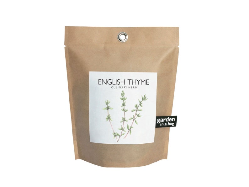 Thyme Garden in a Bag Self Contained Grow Kit Eco Friendly Herb Garden Kit Employee Gift Mothers Day Kitchen Herb Indoor Plant image 1