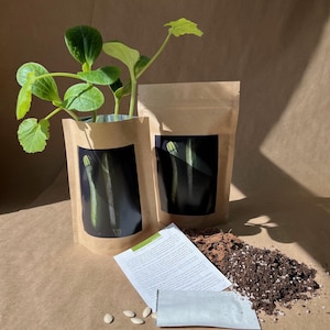 May include: Two brown paper bags with a plant growing out of one. The bags have images of zucchini on them. There is a small packet of seeds, a pile of soil, and a piece of paper with instructions on it.