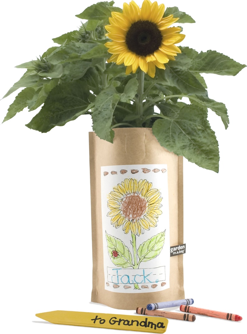 Kids Sunflower Garden-in-a-Bag