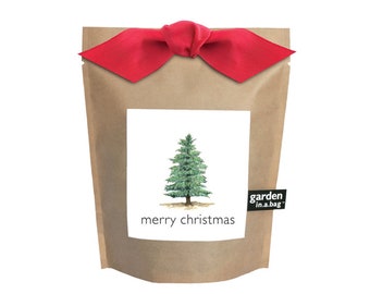 Christmas Tree - Garden-in-a-Bag | Grow your perfect Christmas tree - pine tree grow kit - holiday garden gift - garden lovers - diy kit