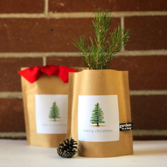 Plant a tree christmas gift deals