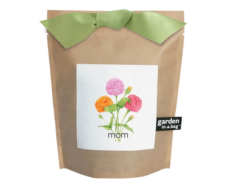 Mom Garden-in-a-Bag – Dwarf mixed zinnia garden - Thumbnail 3