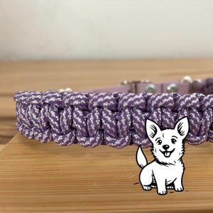 Lilac Cobra Collar, Lilac Collar, Purple Dog Collar, Paracord Collar, Dog Collar, Paracord Dog Collar, Lilac Dog Collar, Purple Collar