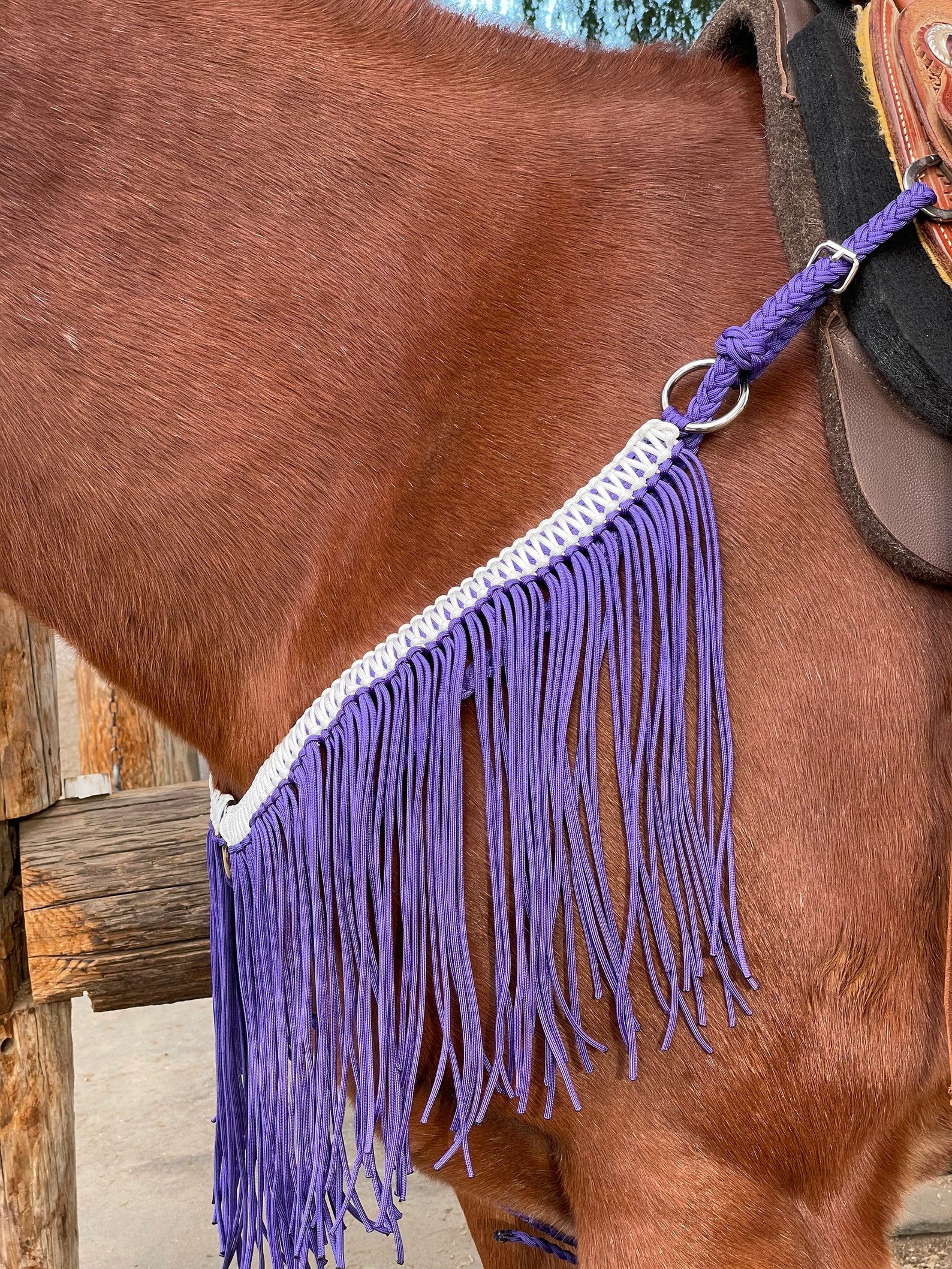 Custom Paracord Fringe Breast Collar Etsy