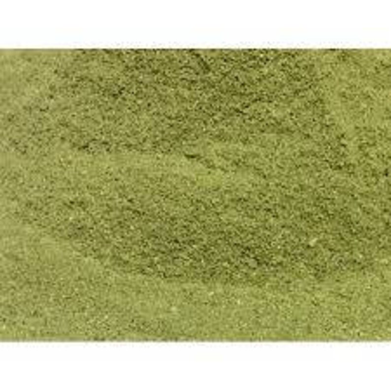 May include: A close-up of a pile of dried green moringa powder.
