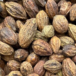 以下が含まれることがあります： 乾燥した茶色でしわくちゃの種子の山をクローズアップした画像。種子は楕円形で、ざらざらした質感です。