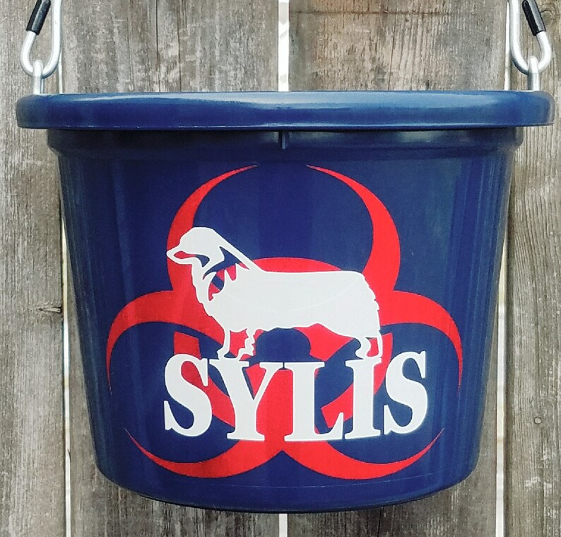 Custom Pet Feeders Dog Buckets Dog Tags Pet Gifts Etsy